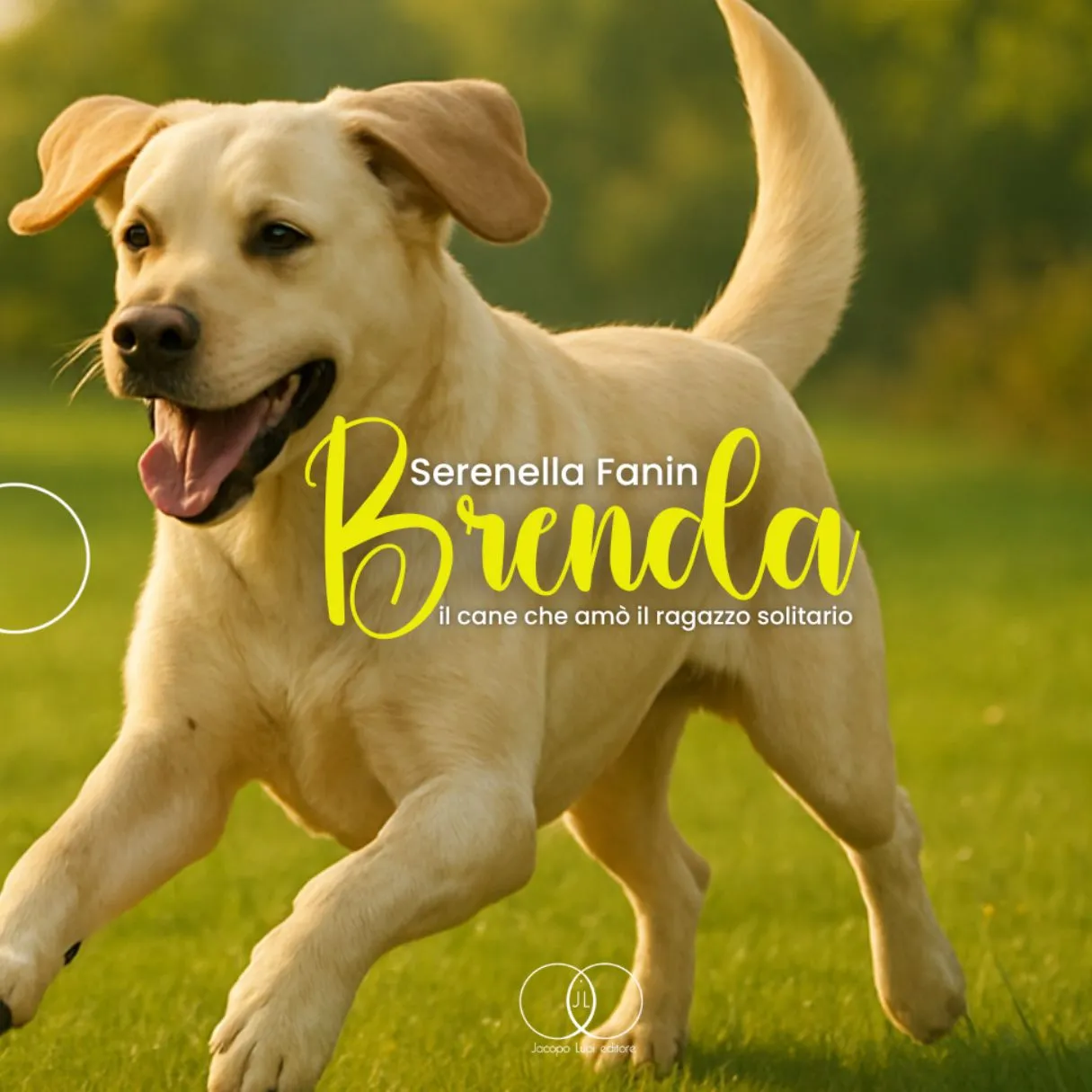 Brenda, il cane che amò il ragazzo solitario