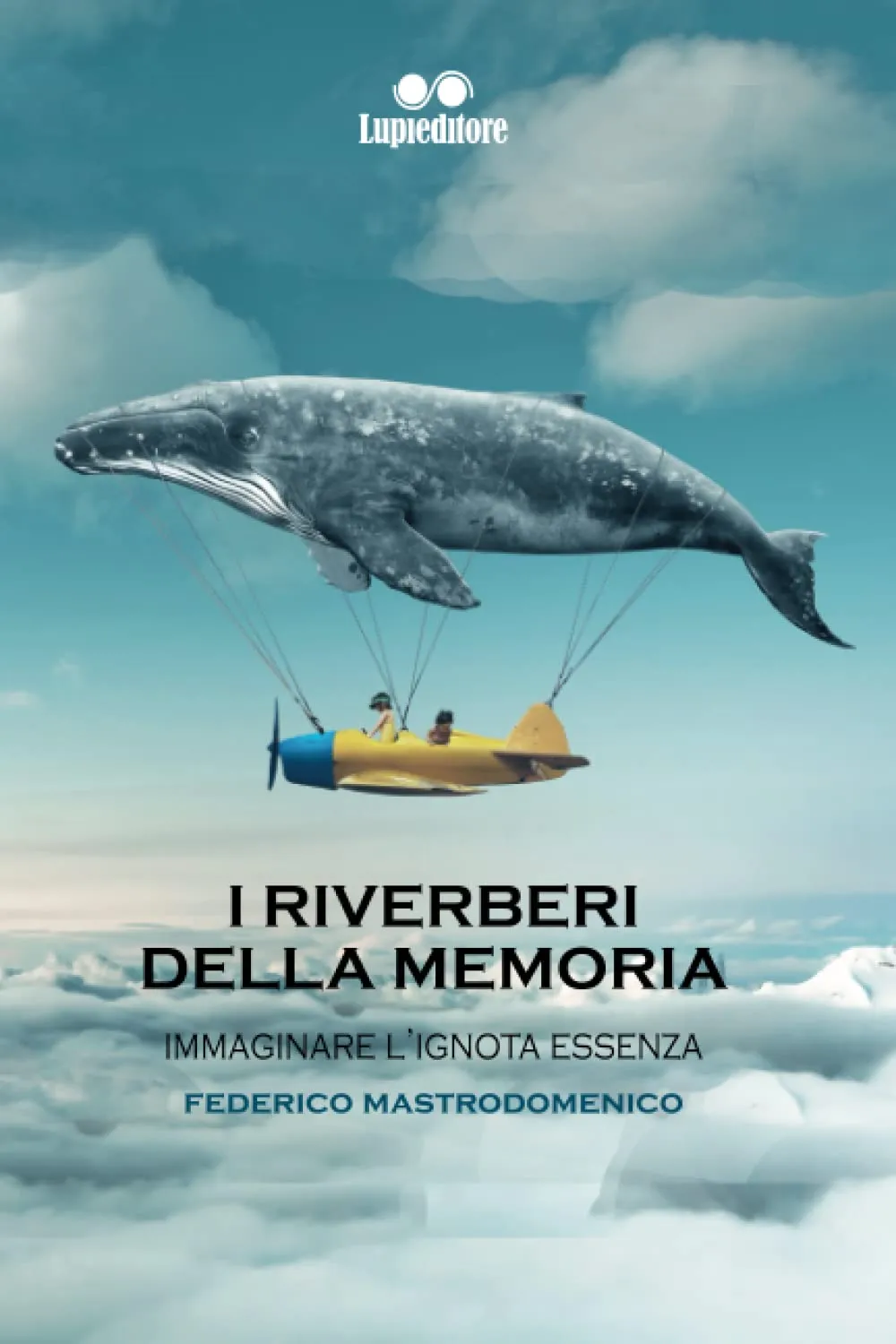 I riverberi della memoria, immaginare l'ignota essenza