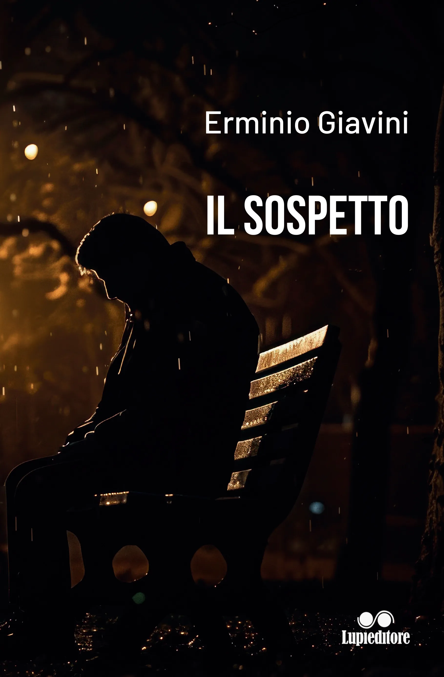Il Sospetto