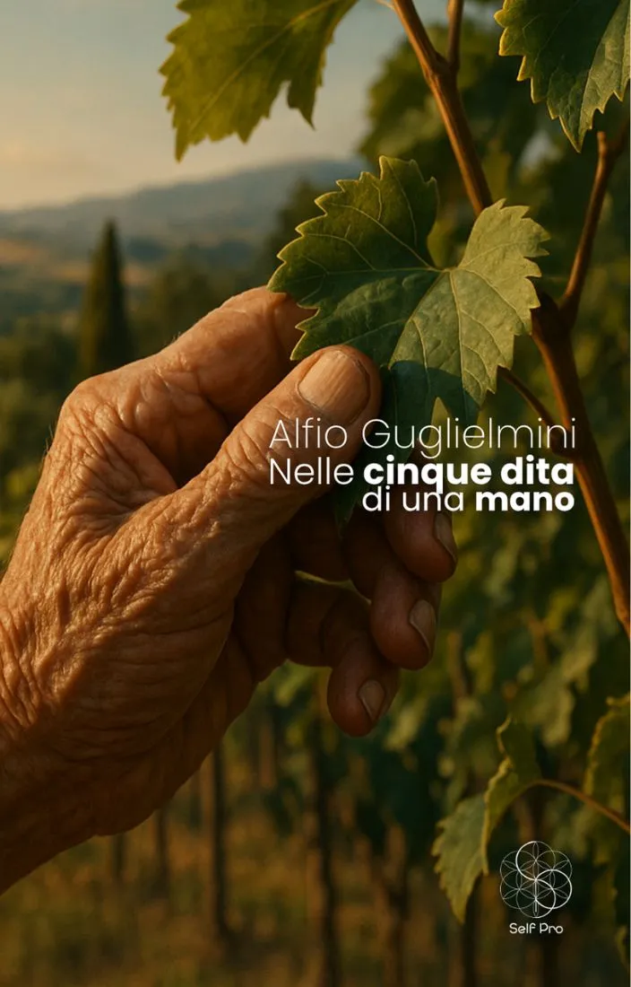 Nelle cinque dita di una mano