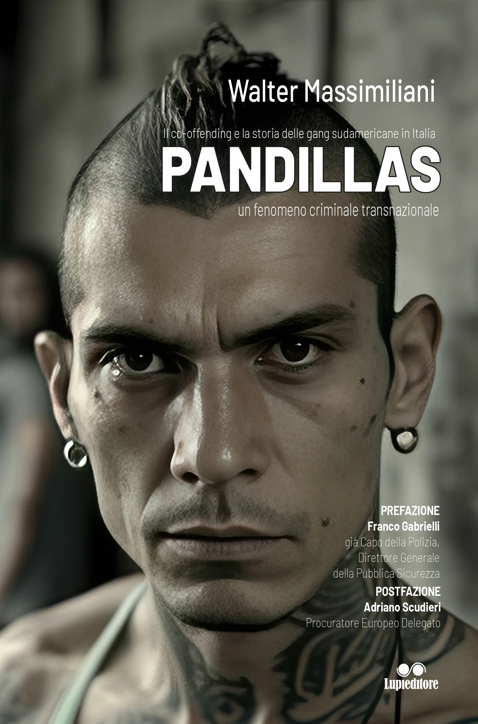 Pandillas Il co-offending e la storia delle gang sudamericane in Italia - un fenomeno criminale transnazionale
